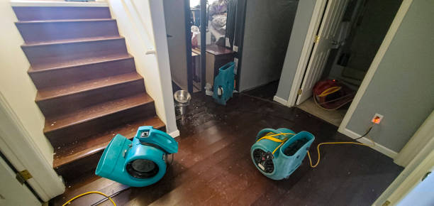 Best Ceiling water damage repair  in Iowa, LA